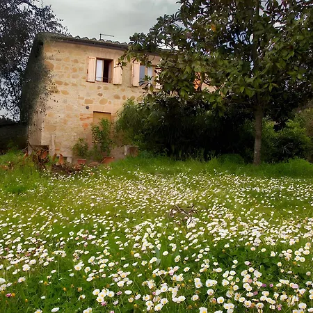 Apartament Casolare La Vigna