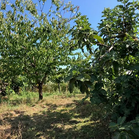 Casolare La Vigna Апартаменты *