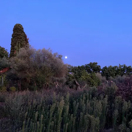 Casolare La Vigna Apartament *